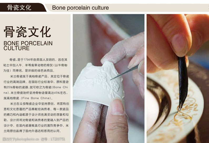 骨瓷文化图片